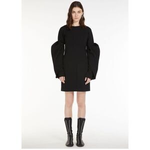 SPORTMAX Long-sleeve Mini Dress
